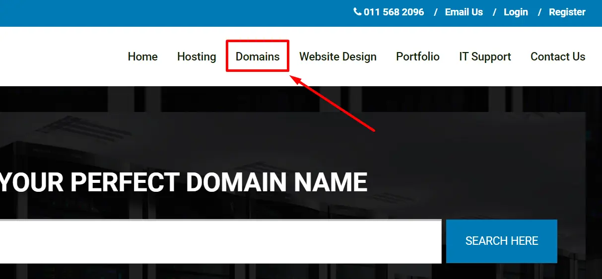 how to get a domain name in South africa guideline image