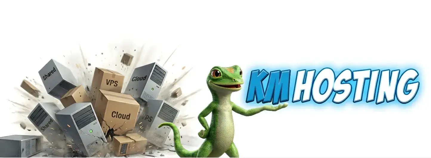 How to Choose the Best Ecommerce Hosting Service